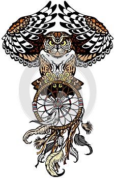 Owl with dreamcatcher