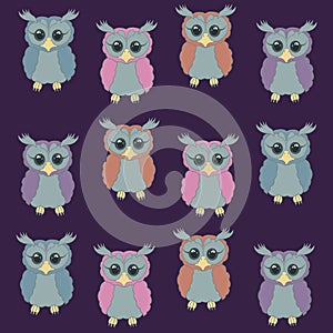 Owl eagle ow owl night owl booby night reveler nocturnal bird feathered feathers wings flight