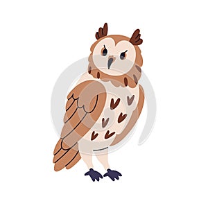 Owl, eared bird. Wild forest feathered animal. Wise horned uhu, bubo looking, staring with rotated head, funny serious