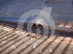 Owl egg in the plumbing hole