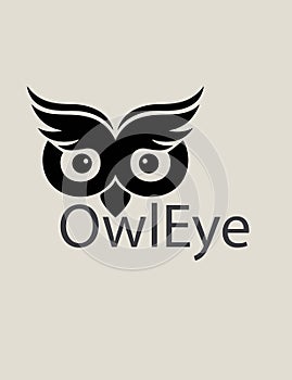 Owl Eye Logo