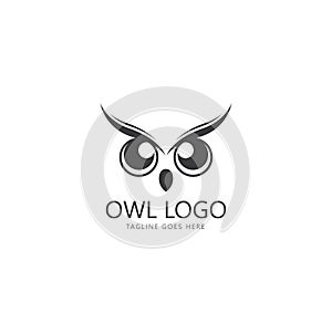 owl eye logo design template.