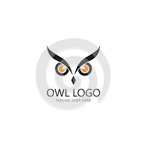 owl eye logo design template.