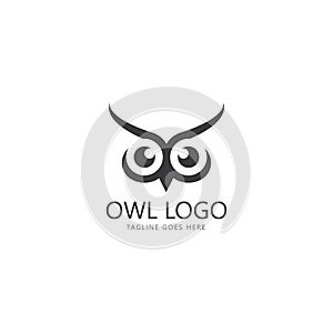 owl eye logo design template.