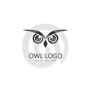 owl eye logo design template.