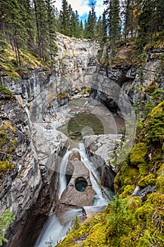 Owl Face Falls of Maligne Canyon