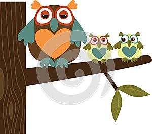 Owl Family