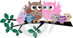 Owl family