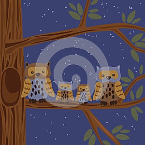 Owl Family on the Tree