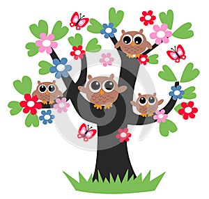 Owl family tree