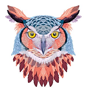 Owl frontal view, vector isolated animal