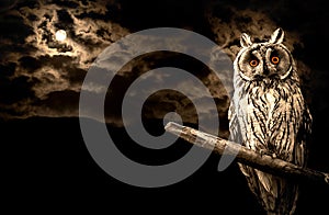 Owl and full moon halloween abstract