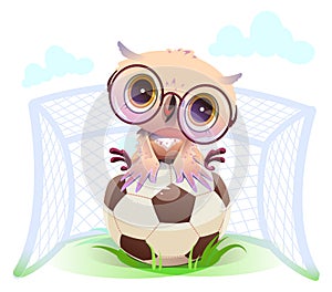 Owl goalkeeper sit on soccer ball vector cartoon illustration