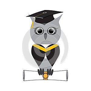 Owl in a graduate hat, master cap holds a graduate certificate, paper roll, scroll document, diploma in paws. Jpeg owl photo
