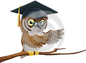 Owl graduate or teacher