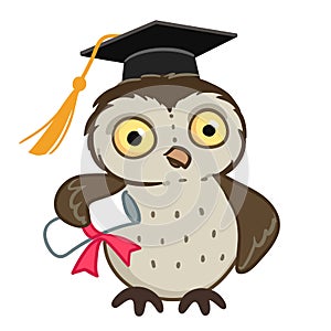 Owl in graduation cap photo