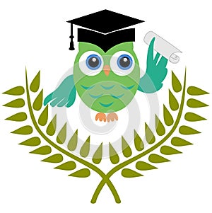 Owl with graduation degree