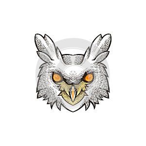 Owl head drawing illustration