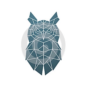 Owl head vector illustration.