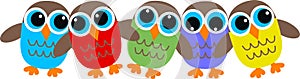 Owl header