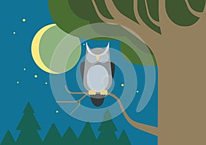 Owl hollow forest habitat flat cartoon vector wild animal bird