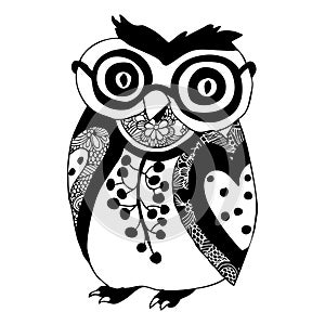 Owl illustration