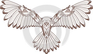 Owl illustration