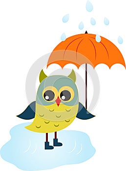 Owl Illustration, Cartoon Owl