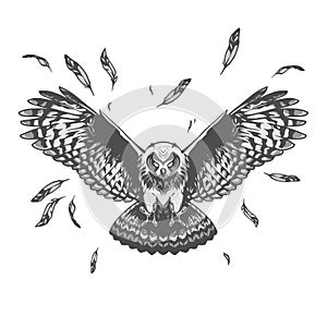 Owl illustration photo
