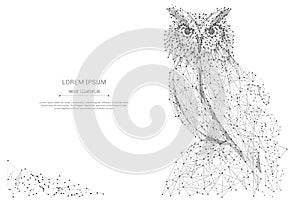 Owl low poly gray photo