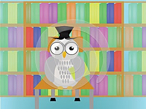 Owl in library