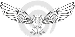 Owl