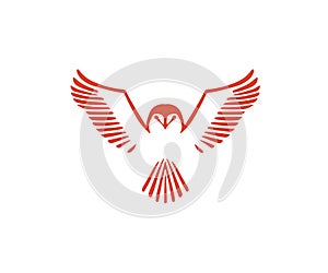 Owl logo eagle fly shawk logan cartoon design