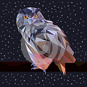 Owl low poly design