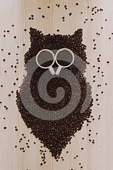 Owl made from coffee beans