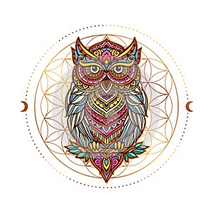 Owl mandala retro with butterfly. Vector illustration.