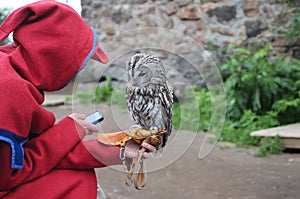 The Owl merchant