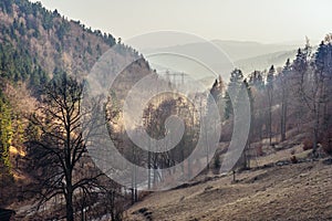 Owl Mountains in Poland