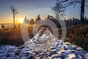 Owl Mountains in Poland