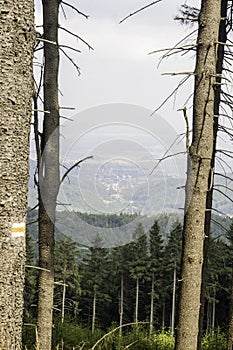 Owl Mountains The Witcher in Poland