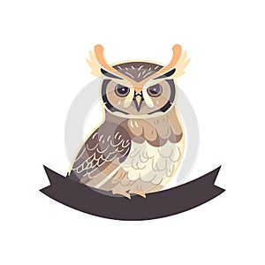 owl night bird
