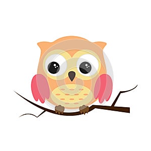 Owl night bird with big eyes. Colorful illustration