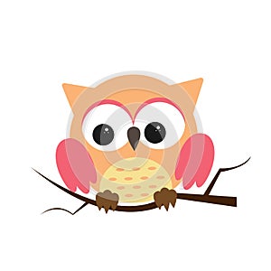 Owl night bird with big eyes. Colorful illustration