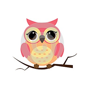 Owl night bird with big eyes. Colorful illustration