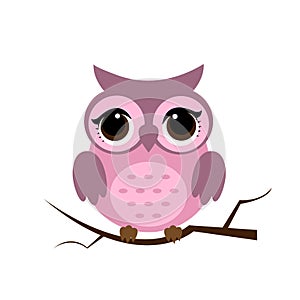 Owl night bird with big eyes. Colorful illustration