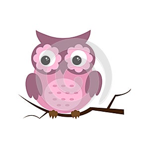 Owl night bird with big eyes. Colorful illustration