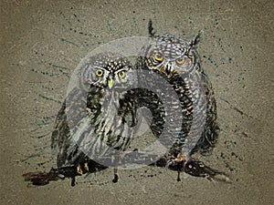 Owl night bird watercolor background painting, wings of night, big bird night predator, couple of little owl, we see you