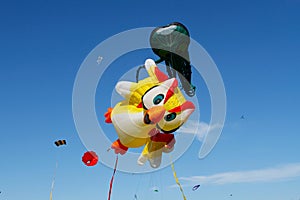 Owl and octopus kites at the kite festival in the Park Tsaritsyno in Moscow