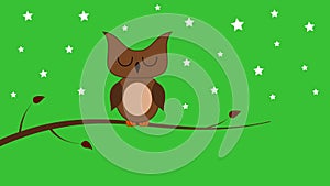 Owl opening and closing its eyes with starry sky and green background - animation