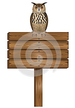 Owl over  rectangular wooden sign illustration